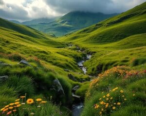 Natuur ontdekken in de groene valleien van Ierland