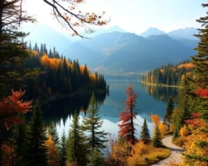 Natuurwandelingen door de meren en bossen van Canada