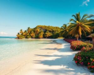 Stranden van Mauritius: een exotisch paradijs voor ontspanning