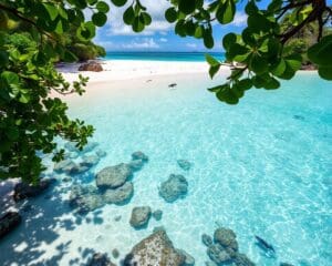 Stranden van de Seychellen: verborgen schatten van de oceaan