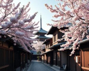 Bezienswaardigheden in de oude stad van Kyoto, Japan