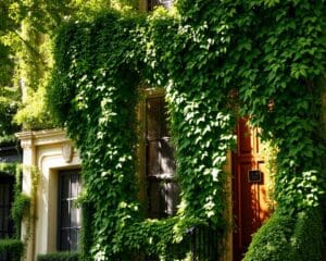 Waarom kiezen voor groene gevels in stedelijke huizen?