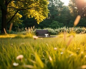 Wordt digitale detox een noodzaak in 2025?