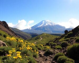 Vakantie Tenerife met Teide