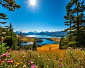 Welke natuur zie je in Zweden?